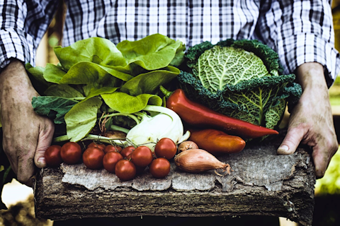 SGS Polska serdecznie zaprasza na szkolenie Manager jakości w branży spożywczej - szkolenie z zakresu HACCP, ISO/ FSSC 22000, BRCGS, IFS.